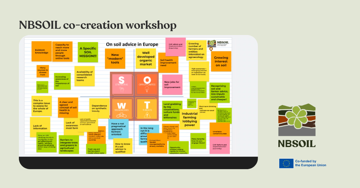 First NBSOIL co-creation workshop takes place online