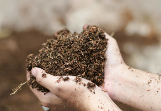HuMUS Webinar: Soil Health Training