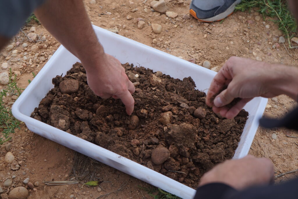 Story image for The Soil Beneath Our Feet: Invisible Hero of Planetary Health