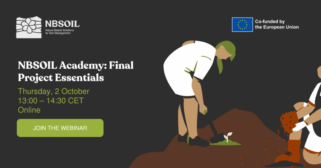 Event image of NBSOIL Academy: Final Project Essentials